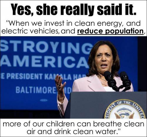 She Said It