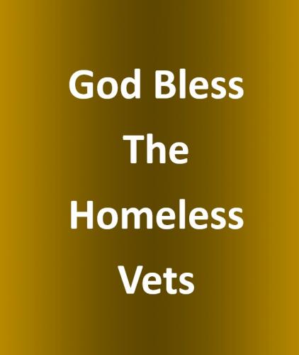 B homeless Vets