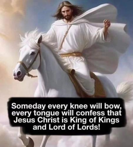 Screenshot_20230714_091127_Instagram