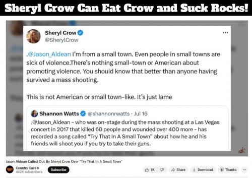 Sheryl Crow Can Eat Crow and Suck Rocks.960px