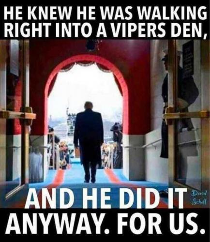 USA vipers den