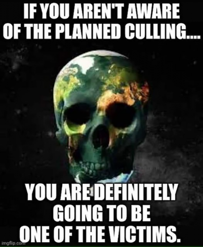 M planned culling