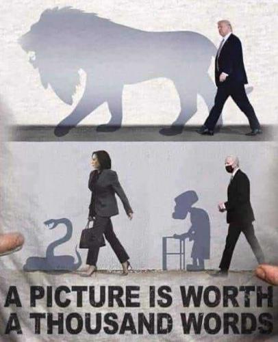 USA thousand words