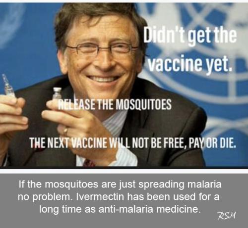 Gates mosquitoes 13