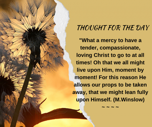 TWEET 7-15-23