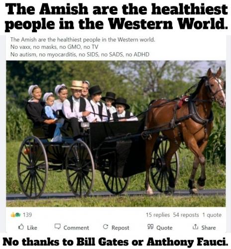 You can't fix stupid Amish meme