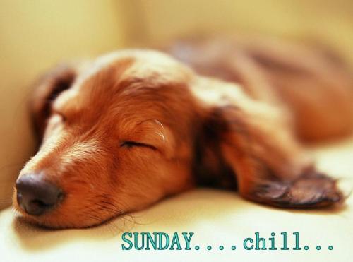 Sunday-  Chill