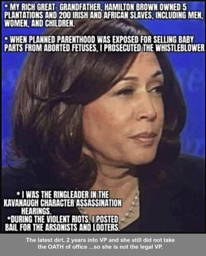 Kamala crap 13