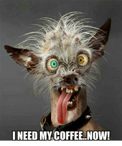 I need my coffee...Now