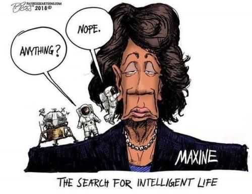 Cartoon - Maxine Waters - Search for intellegent life