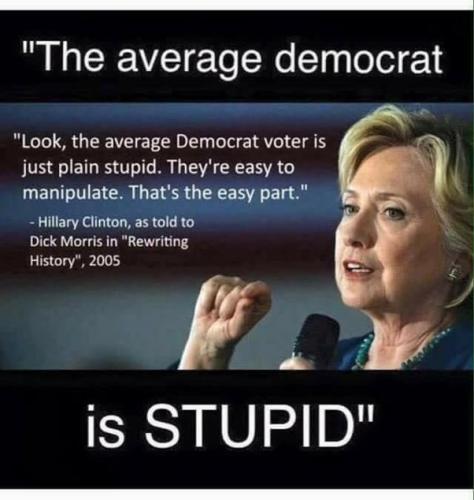 HILLARY DEMOCRAT STUPID