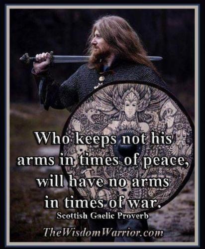Wisdom at arms