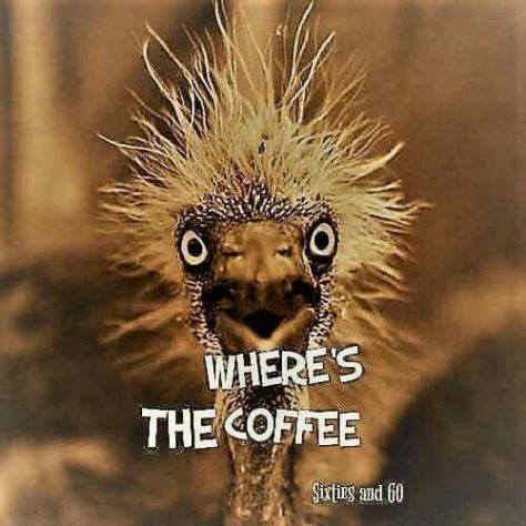 Where's the Coffee
