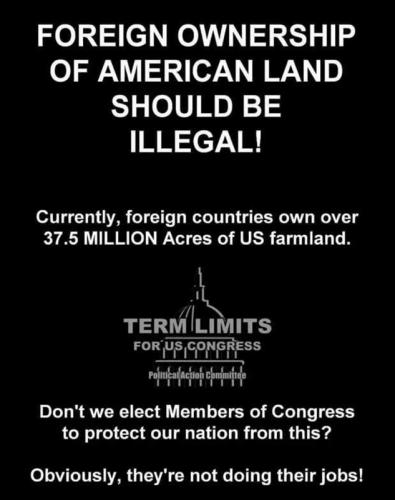 USA Foreign ownership