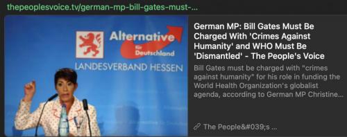 German MP charge Gates