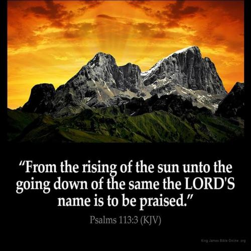 IMG_20230719_090225_803