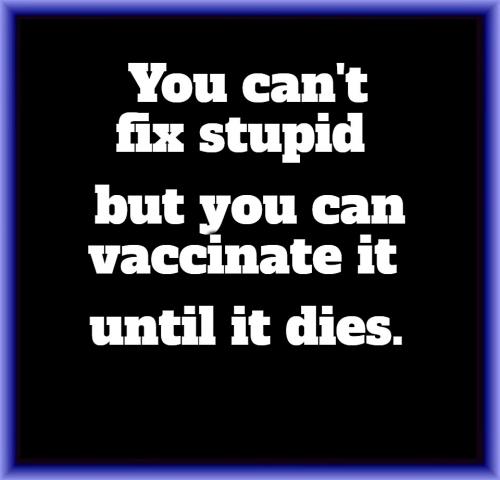 You can't fix stupid