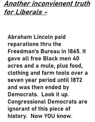 REPARATIONS 40 ACRES