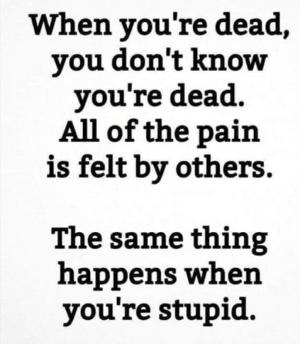 When You Are Stupid