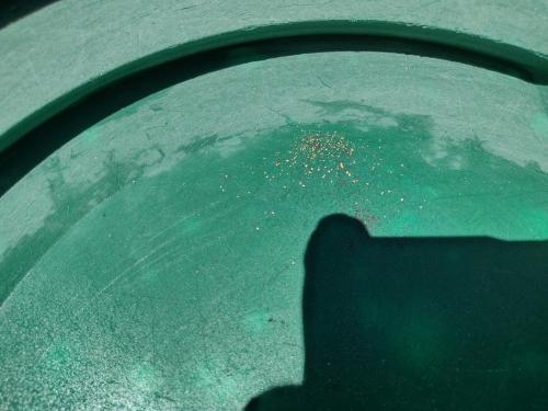 IMG_20230718_134222456_HDR