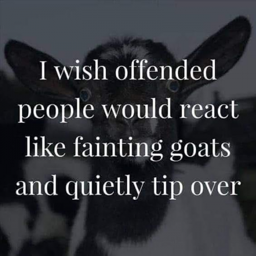 M offended people