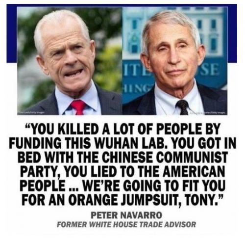 Peter Navarro - Fauci