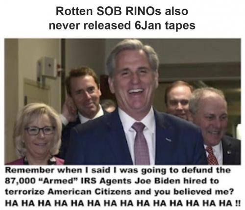 RINOs 13