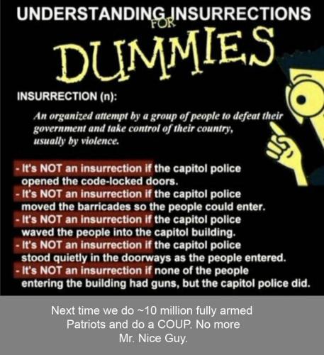 NOT insurrection