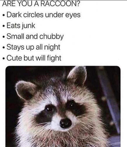 e309cf19aee36594.jpeg