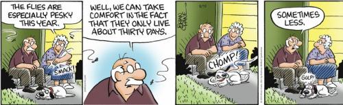 Screenshot 2023-08-19 at 07-08-02 Pickles by Brian Crane for August 19 2023 GoComics