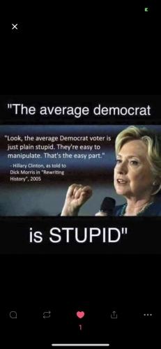 DEMS STUPID    TS
