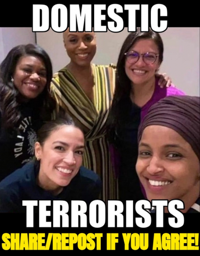 M domestic terrorists