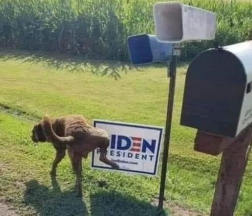 biden1