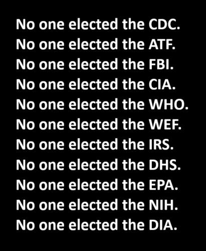 M no one elected