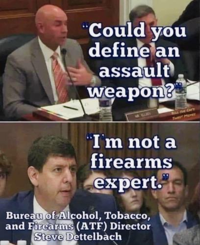 M define assault weapon