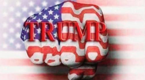 M Trump fist