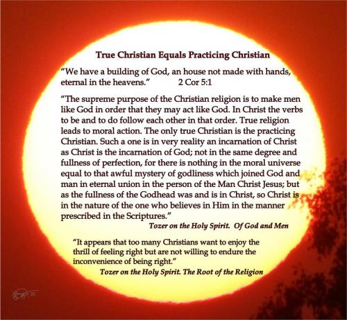 True, Practicing Christian