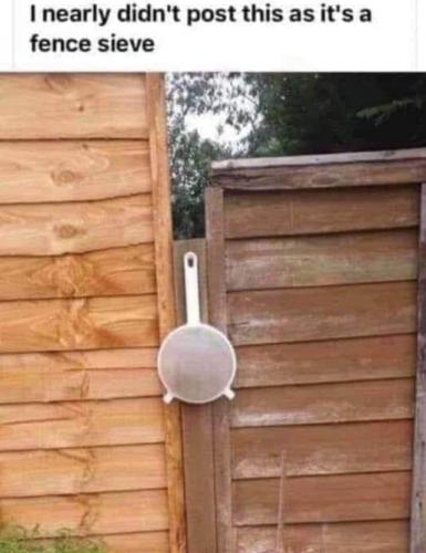 FB_IMG_1691946088227