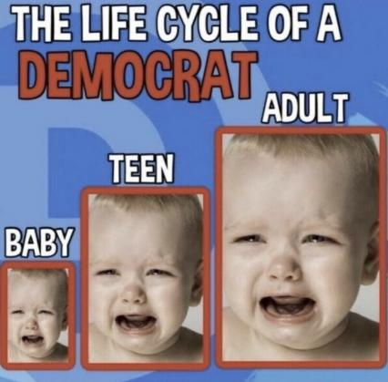 Demo Life Cycle