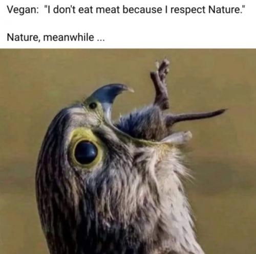 vegan
