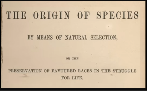 Or the preservation of favoured races