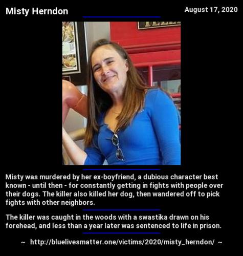 2020-misty_herndon-infocard