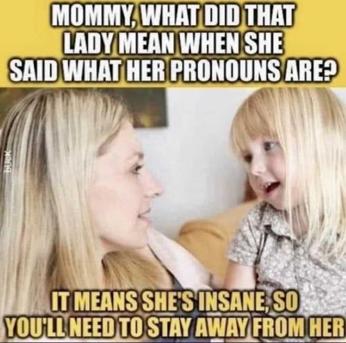 USA pronouns