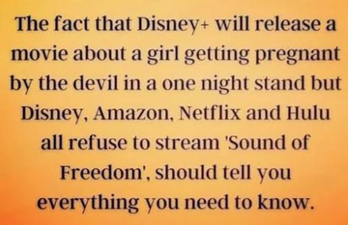 RO Disney one night
