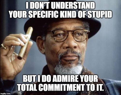 B kind of stupid