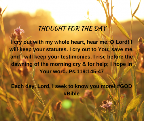 TWEET 8-29-23