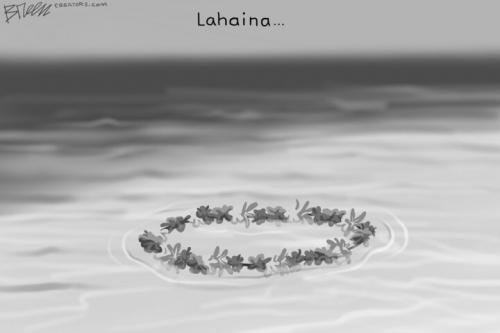 354402_image