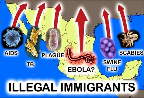 illegal diseases immigrants