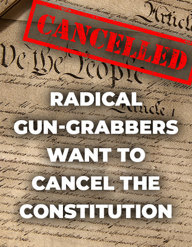 B gun grabbers