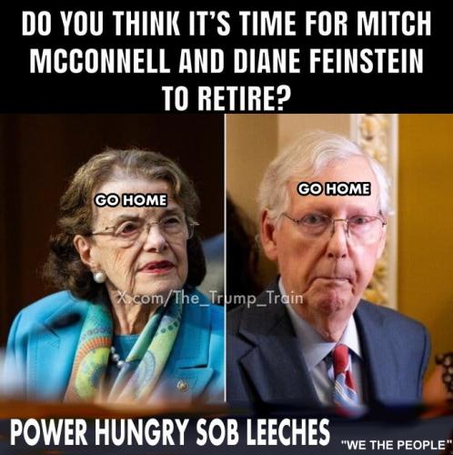 LEECHESP
